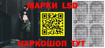 шишки Кимры