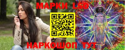 шишки Кимры