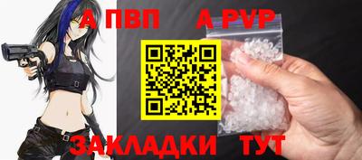 стаф Кингисепп