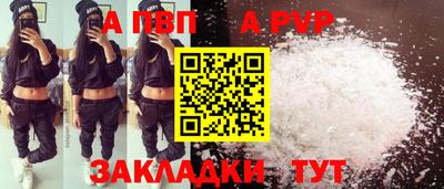 шишки Кимры