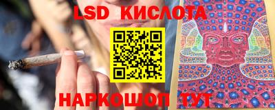 шишки Кимры