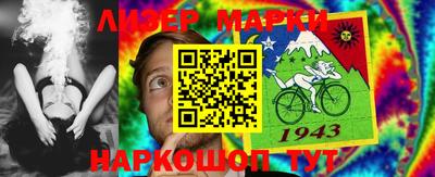 шишки Кимры