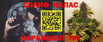 стаф Кингисепп