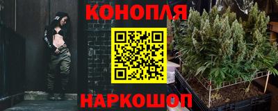 стаф Кингисепп