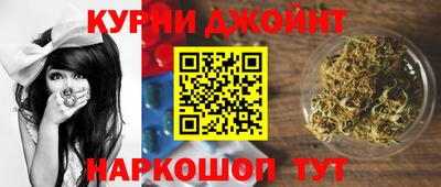 шишки Кимры