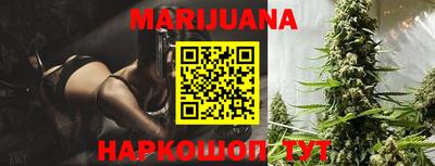стаф Кингисепп