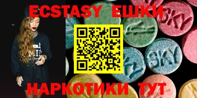 стаф Кингисепп