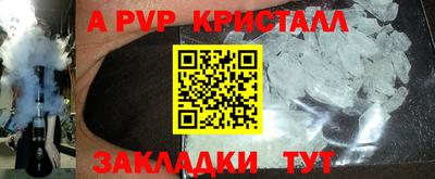 стаф Кингисепп