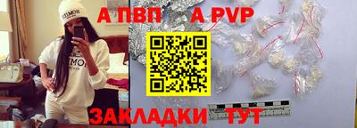 стаф Кингисепп