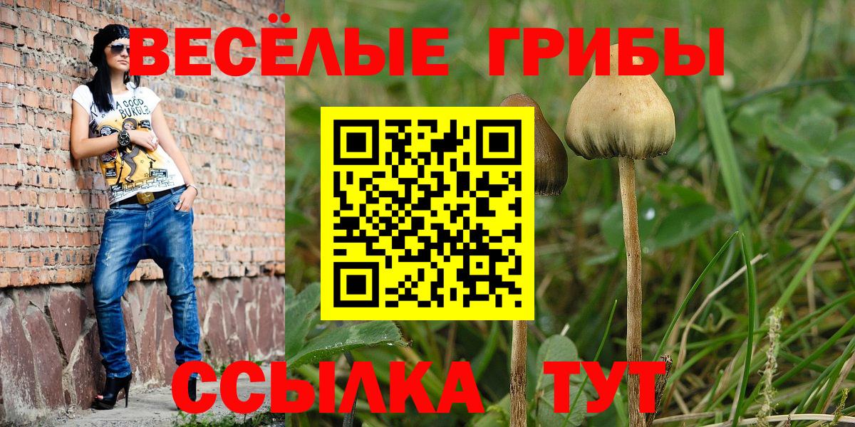 Псилоцибиновые грибы Cubensis Красноуфимск