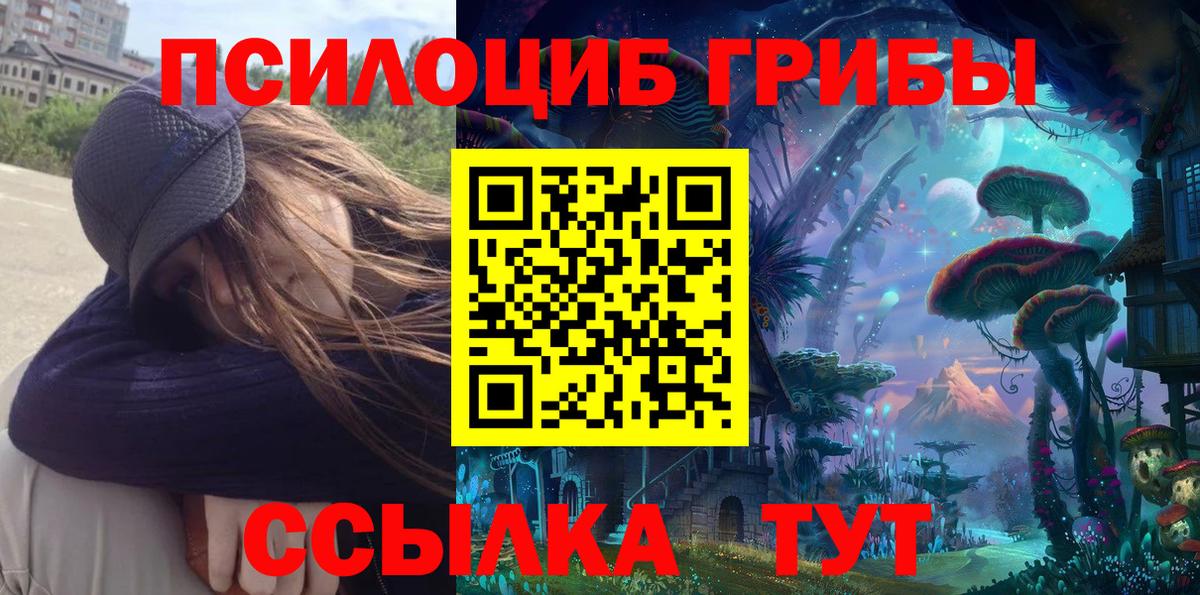 Красноуфимск  Псилоцибиновые грибы прущие грибы  Вход с VPN 
